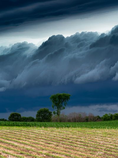 temporale2