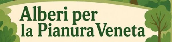 ALBERI IN PIANURA