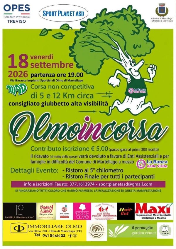 Olmo in corsa