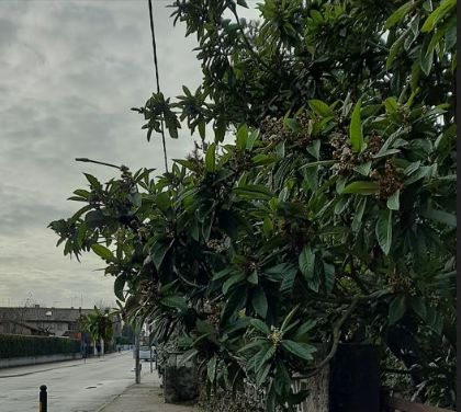Più pulizia e decoro urbano? 