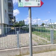 MARTELLAGOinMENTE6