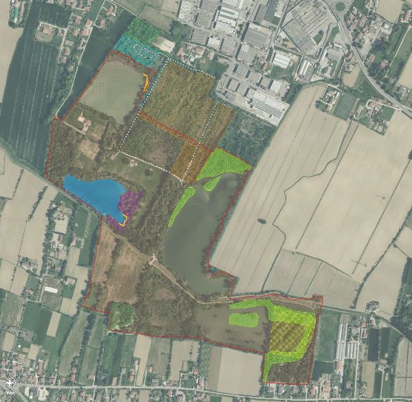 Valorizzazione Parco Laghetti